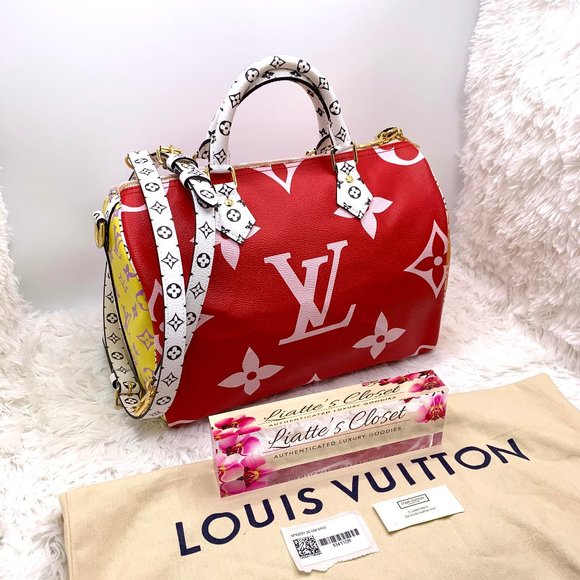 Louis Vuitton Handbags - ❌SOLD❌ LOUIS VUITTON Monogram Giant red Speedy